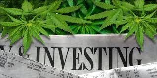 cannabis investing