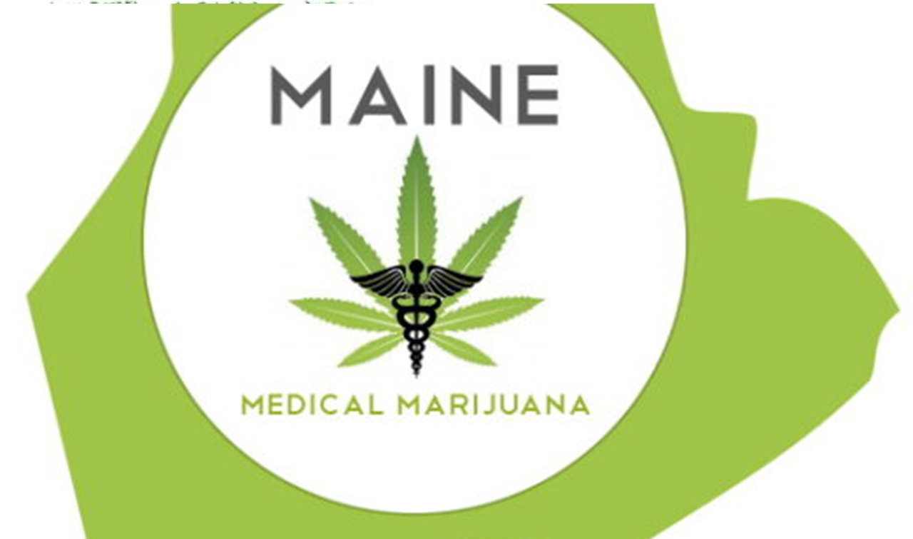 Maine State Cannabis Licensing Requirements