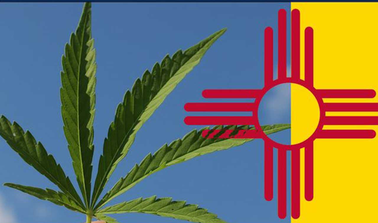 New Mexico Cannabis Business News | New Mexico Cannabis Consulting