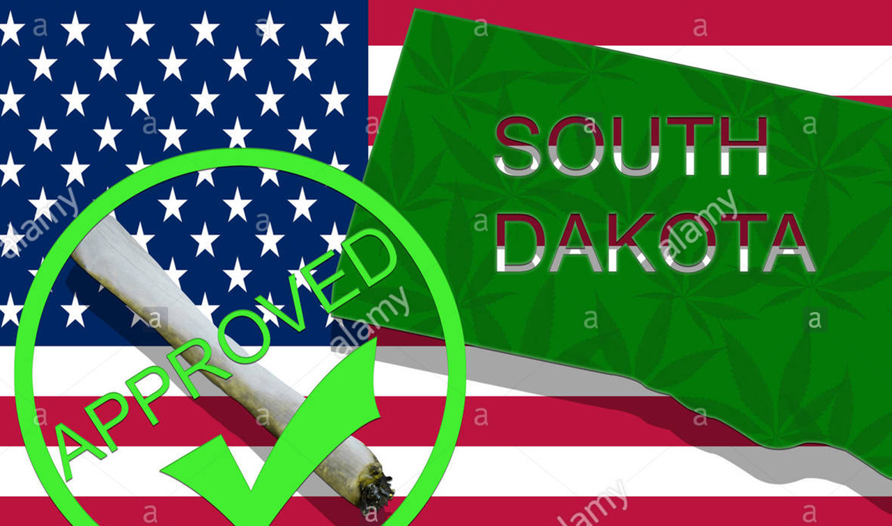 South Dakota Cannabis Consulting | South Dakota Cannabis Business News