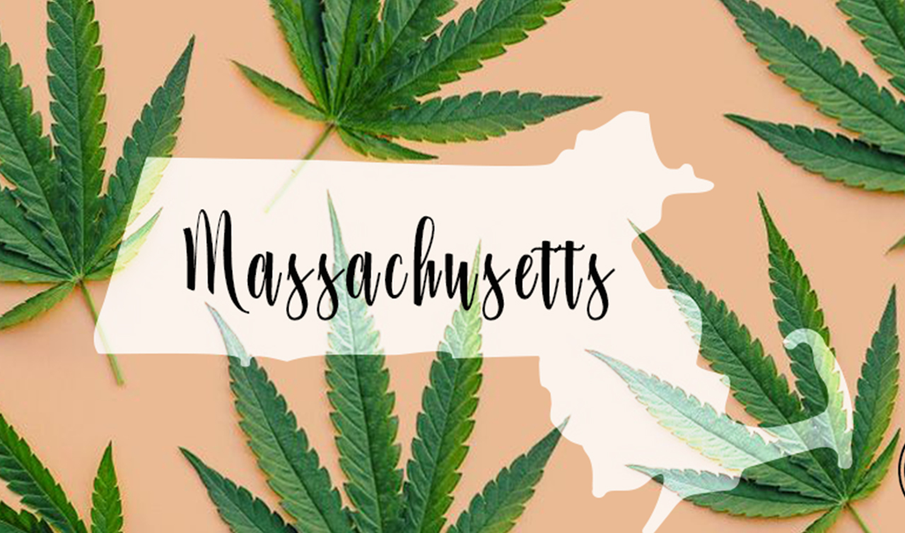 Massachusetts Cannabis Business News