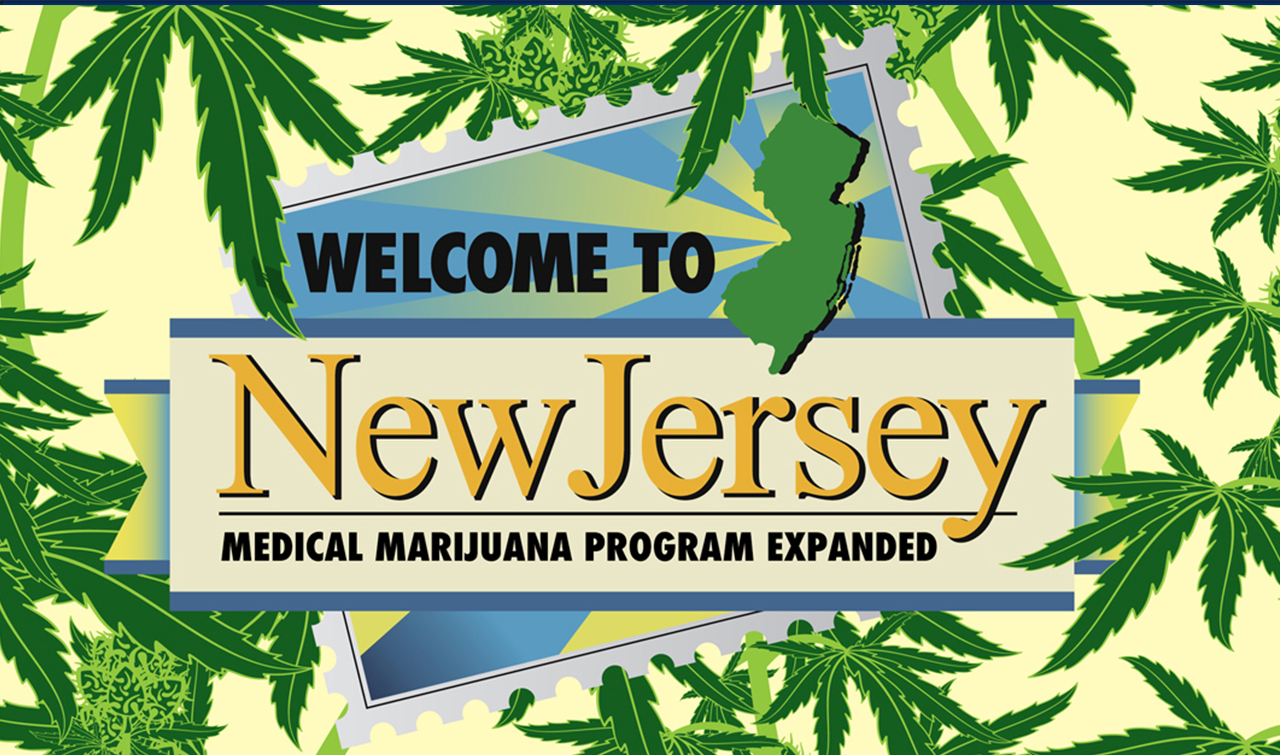 new jersey cannabis license