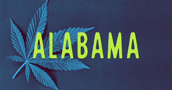 Alabama Cannabis Business License Consulting | Alabama Cannabis Business News