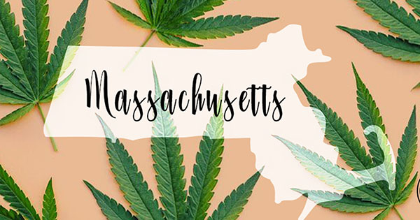 Massachusetts Cannabis Consultant