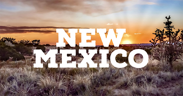 New Mexico Cannabis Microbusiness