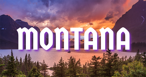 Montana Cannabis Consulting