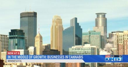 Minnesota cannabis businesses prepare for future growth
