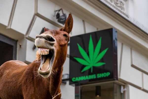 17 of the Goofiest Cannabis Store Names in Michigan